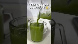수확한 새싹보리 주스 만들기!#shorts#해독주스#건강주스#건강챙기기#asmrsounds