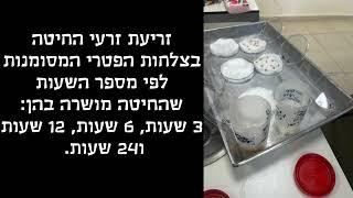 תיכון בגין - ביולוגיה - שגיב מרום