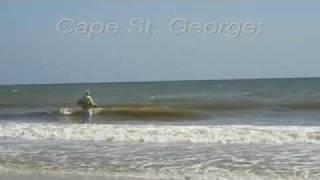 Bird Banquet:  Apalachicola Bay