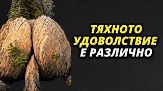 3 КРИТИЧНИ грешки, които мъжете правят относно ЖЕНСКОТО УДОВОЛСТВИЕ, без да знаят | Стоицизъм