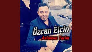 Aslansın Yarim