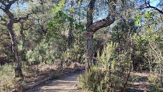 Trail Shambala JMX - Cassà de la Selva - Primera del 2025