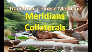 Traditional Chinese Medicine: Meridian and Collateral System