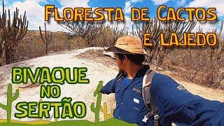 Conheça a FLORESTA DE CACTOS! | Bivaque no Sertão Ep. 02