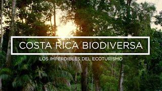 Costa Rica biodiversa: imperdibles del ecoturismo