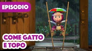 Masha e Orso ‍️ Come gatto e topo  (Episodio 58)