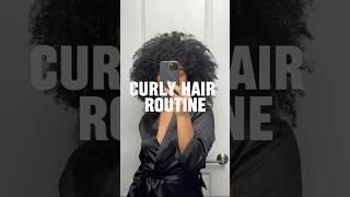 Curly Thick 3c-4a Curly Hair Routine #curlyhairstyles #naturalhair #naturalhairtutorial #curlyhair