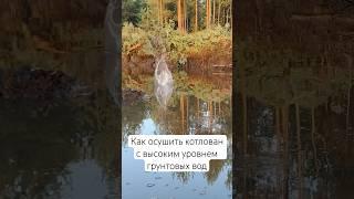 Затопило котлован | Как и чем осушить? #болото #торф #дренаж #иглофильтры #мотопомпа #миниэкскаватор