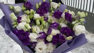 | Roza4u.ru