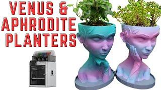 3D Printing a VENUS AND APHRODITE Planter - with Bambu Lab X1 Carbon