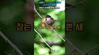 #휘현세무회계 (#고요한 지혜) #어른을위한동화 #감성에세이  #인생은기다림 #나무의인내  #삶의지혜  #짧은이야기긴여운 #치유되는글 #잔잔한감동  #철학이있는동화 #공감에세이