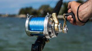 Best Saltwater Reel Combo!!