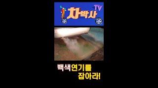 차박사TV_백색연기를 잡아라!#short