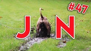 Jan zoekt jou… - KOEN DATE ROOS #47