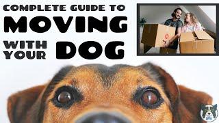 MOVING WITH YOUR DOG: the Complete Guide