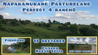 lot#440 Murang pastureland perfect 4 rancho 250 mtrs frontge 15has 70/ sqm along brgy road