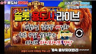 #slot #슬롯 슬롯용도사 프라그마틱 울티메5 하이라이트 영상