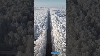 Тюмерика 