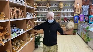 Новогодний подарок от питона! Зоопарк СКАЗКА!