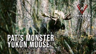 HE'S HUGE! - World Class Yukon Moose with a Bow