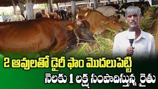 Farmer Narasimha Reddy Success Story on Running Dairy Farm || Profits in Dairy Farm || SumanTV Rythu