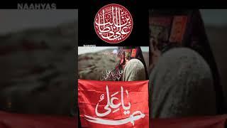Zikr Al-Ali #شور #karbala #shia #latmiya #najaf