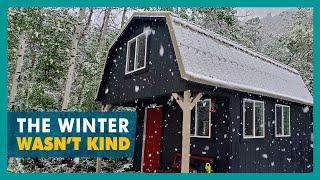 Return to the Off-Grid Tiny House doing a Winter Damage Overview