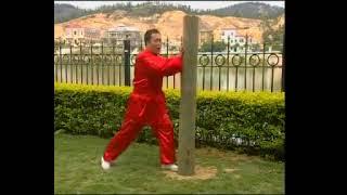 趙建國老師 通臂拳桩法 #martialarts #kungfu