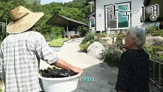 한국기행 - Korea travel_쉼이 필요한 당신에게 5부- 이 여름 당신과 함께_#001