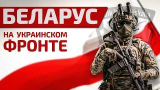 Беларус, воюющий за Украину: протесты, война, будущее Беларуси