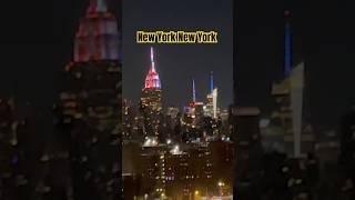 Manhattan Night View: Skycrapers with twinkling lights against the night sky