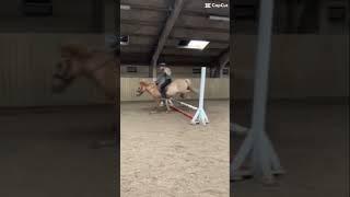 OMG you are soo gooood @Iceequestrian pls go follow her is her video