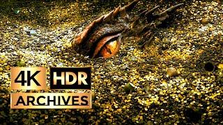 The Hobbit - The Desolation of Smaug ● Part 1 of 3 ● The Hobbit And The Dragon [ HDR - 4K - 5.1 ]