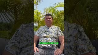 Божественное Проявление: Как Бог везде вокруг нас