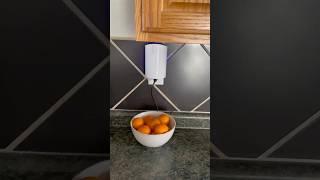 Flying insects be gone! - Flying Insect Trap, Fruit Fly Trap Plug in