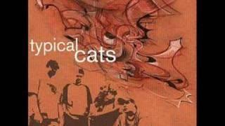 Typical Cats - The Manhattan Project