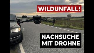 Achtung Wildunfall! So kann die Drohne bei einem Wildunfall helfen!