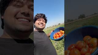 aj khet se aate hue kuch dikha #minivlog #dailyminivlog #minivlogseries #familyvlog #familyfun