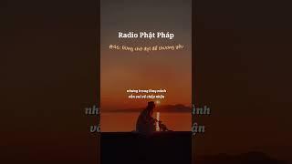 #72  Đừng Chờ Đợi Để Thương Yêu #radio