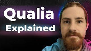 What Does Qualia of Our Consciousness Mean? (Andrés Gómez-Emilsson)