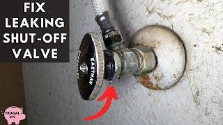 Fix Leaking Shut-Off Valve | Tighten Packing Nut