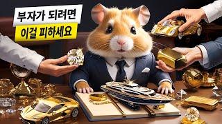 햄스터 피드: 부자가 되려면 피하고, 묻고, 생각해야 할 것은?