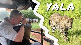 Yala National Park...Searching for Leopards on SAFARI in Sri Lanka!