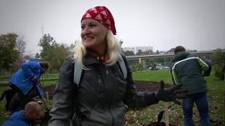 Подари-Дерево + Терморос = плодовый сад на ВВЦ