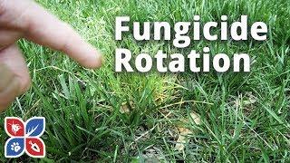 Lawn Fungicide Rotation Applications - Lawn Care Disease Control | DoMyOwn.com