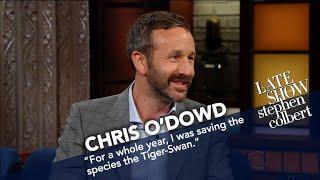 Chris O'Dowd Raised Money For Fake Endangered Species