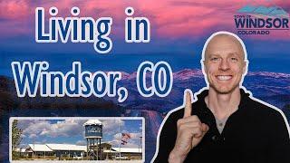 Living in Windsor Colorado | Northern Colorado Calling your Name?!