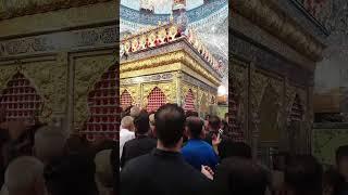 Mola Hussain a.s Ka roza  | Karbala on Arbaeen Walk 2024.  |  Part  8 |  @abdulsalamworld799