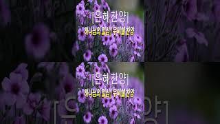 [복음성가연속듣기] 주님 손잡고 일어서세요_하루찬양( 중간광고 없음, 은혜찬양연속듣기 )