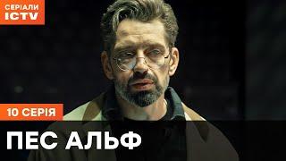 Пес Альф 1 сезон 10 серия